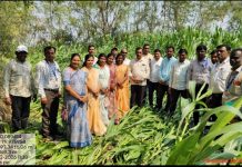 अवकाळी पावसामुळे नुकसानग्रस्त शेतकऱ्यांच्या पिकांचे पंचनामे करा. आ.सुधीर मुनगंटीवार यांचे जिल्हाधिकाऱ्यांना निर्देश. आ.मुनगंटीवार यांच्या सूचनेनंतर भाजपा पदाधिकाऱ्यांची शेताच्या बांध्यावर प्रत्यक्ष पाहणी.